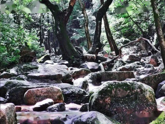 逃离舒适之屋