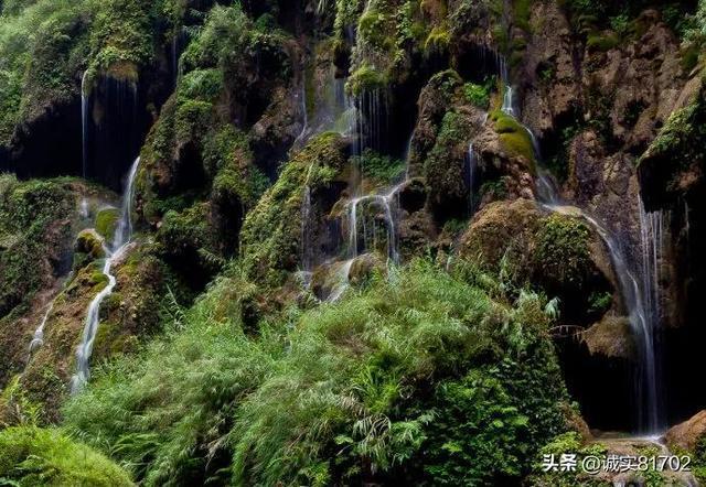 小艾比摄影家