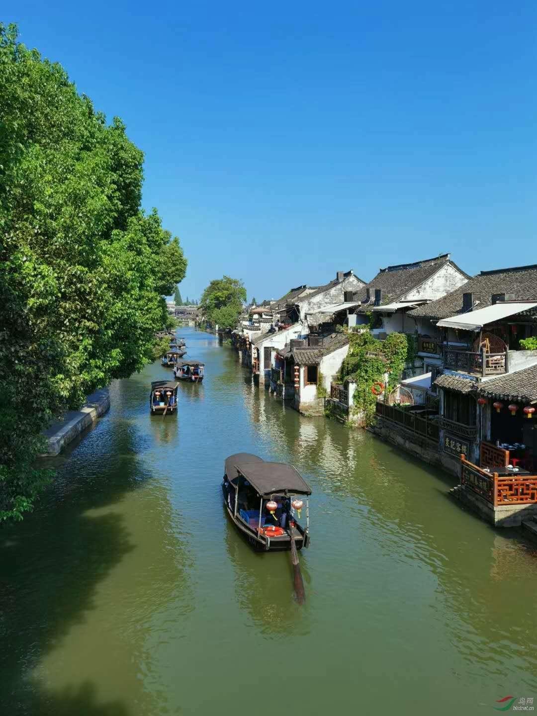 一婴儿太丑被生母弃养，尼姑路过大笑：我来养，结果成就千古一帝