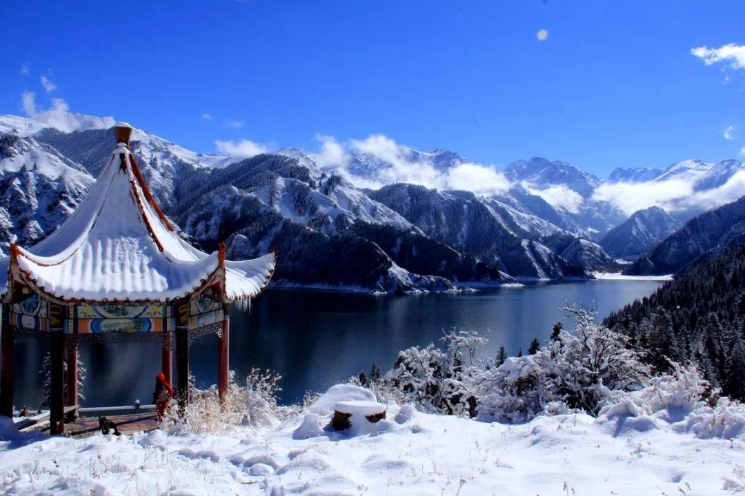 俄大使谈击落伊尔-76:美国至今未谴责恐怖袭击